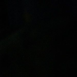 Meet your Posher, Paige